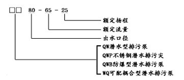 WQ型潛水無堵塞排污泵型號意義